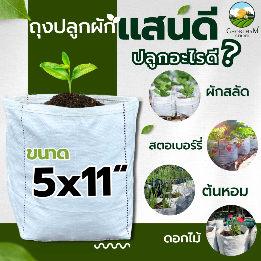 ถุงเพาะปลูก 1 กิโล ตราแสนดี  เพาะชำ ปลูกผัก ระบายน้ำดี รากเดินไว​   ใช้ทนนานได้​ 8​ ปี รูปที่ 4