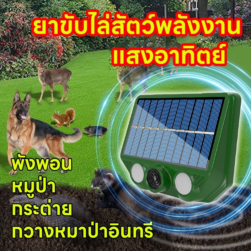 เขตกีดกันนก อัลตราโซนิคขับไล่นก 10000เมตรไม่มีนก เครื่องไล่สัตว์ เครื่องไล่นก อัลตร้าซาวด์ 360องศา ที่ไล่นก ไล่นกพิราบ..
