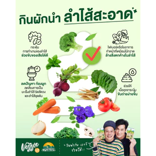 WynnFarm Veggie ผงผักรวม30ชนิด วิตามินสูง ช่วยขับถ่าย ไม่มีน้ำตาล