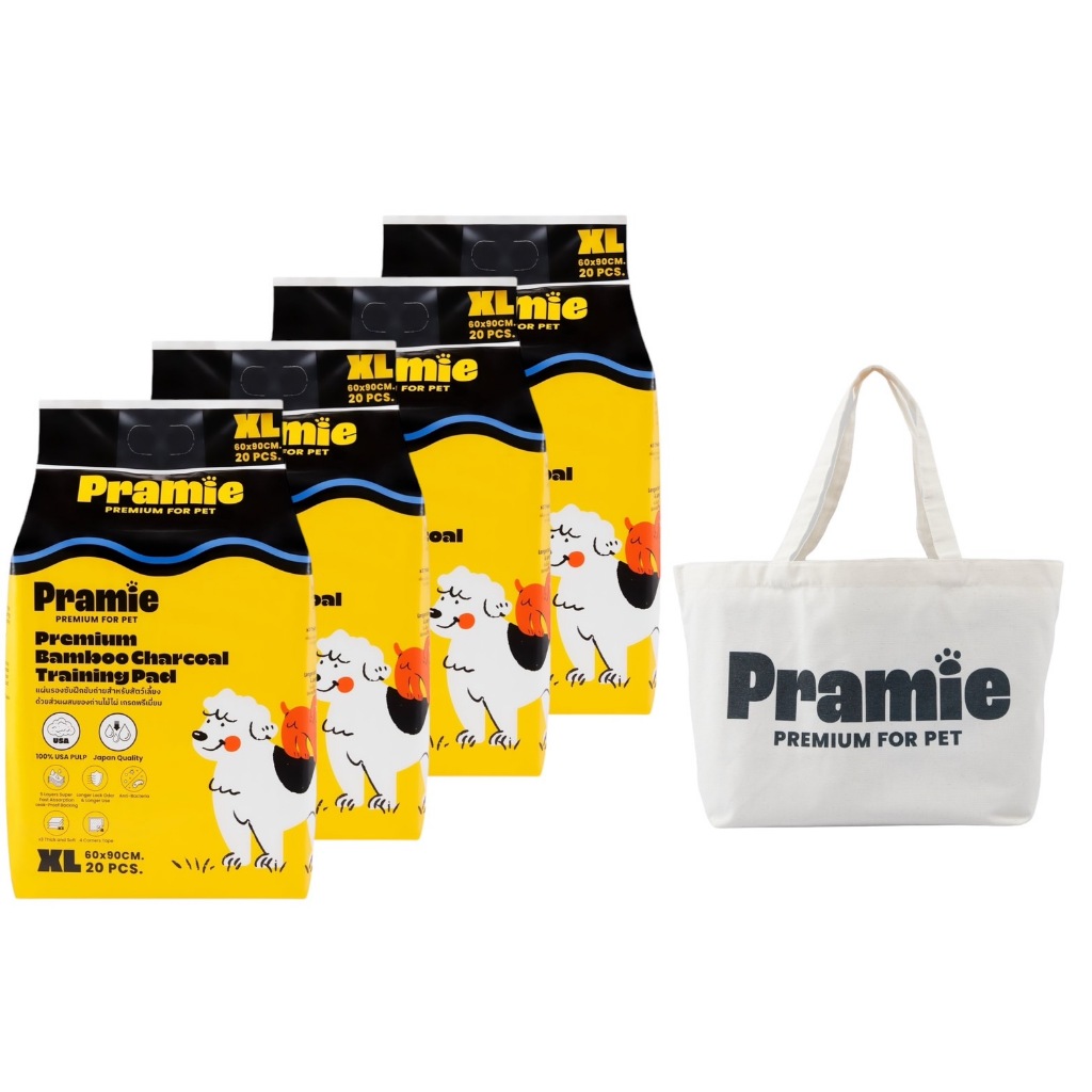 Bundle X 4 Pramie แผ่นรองซับฝึกขับถ่ายผสมชาโคล : Size XL 60x90 cm + กระเป๋าผ้าแคนวาส(จุ่มลาย)