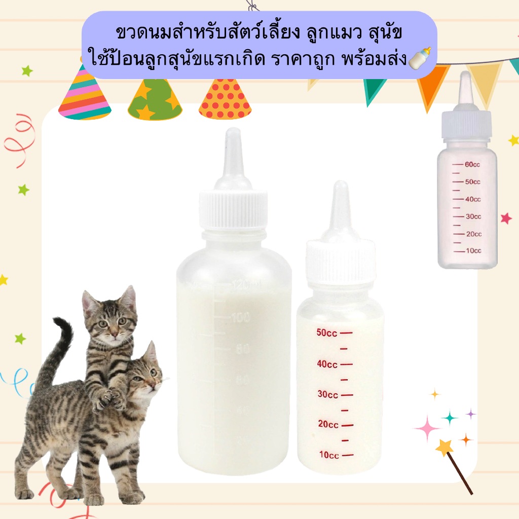 BN-1206 ขวดนมสัตว์เลี้ยง ลูกแมว ลูกสุนัข พร้อมจุกสำรอง + แปรงล้าง ขนาด 50ml 🍼 พร้อมส่ง