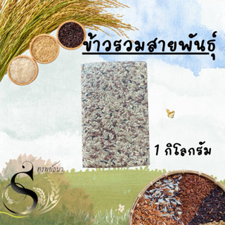 ข้าวกล้องผสมสามสายพันธุ์แพคสูญญากาศ1กิโลกรัม ตราทรัพย์ธนา