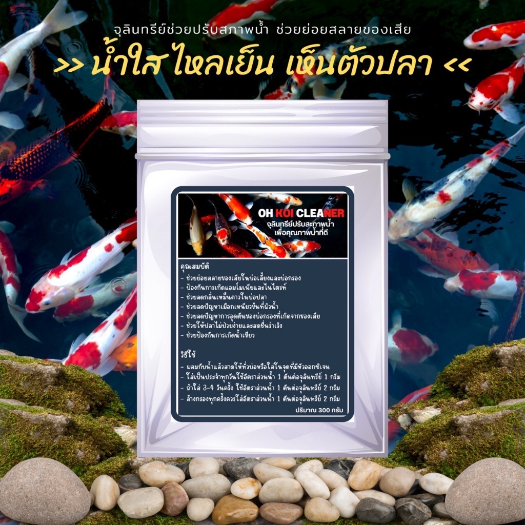 จุลินทรีย์ปรับสภาพน้ำใส่บ่อปลา เพิ่มแร่ธาตุช่วยให้น้ำใสคุณภาพดี ขนาด 500 กรัม แถมช้อนตวง