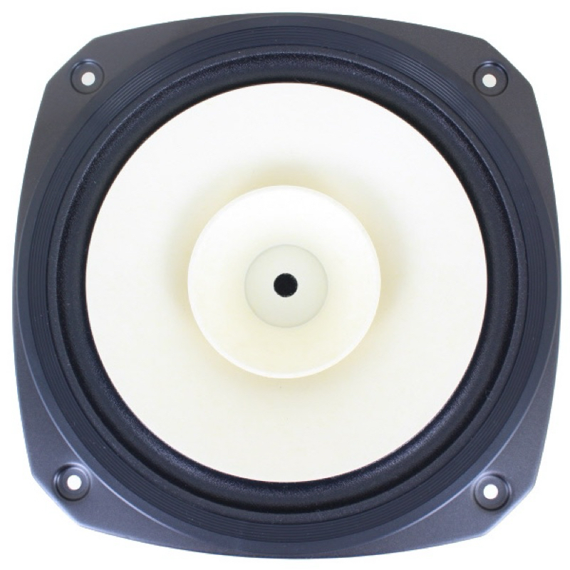 Fostex FE206NV 8" Full Range