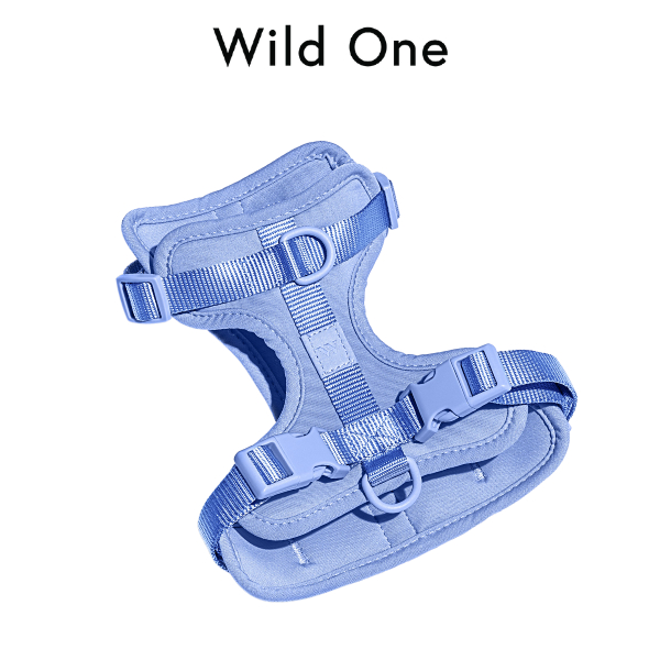 Wild One - Harness สายรัดอกสุนัข │ Moonstone 🩵