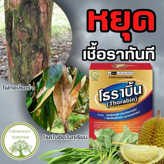 โธราบิ้น(ไดเมทโทมอฟ+ไพราโคสโตรบิน) 🥬สารป้องกันกำจัดโรคพืชที่เกิดจากเชื่อรา