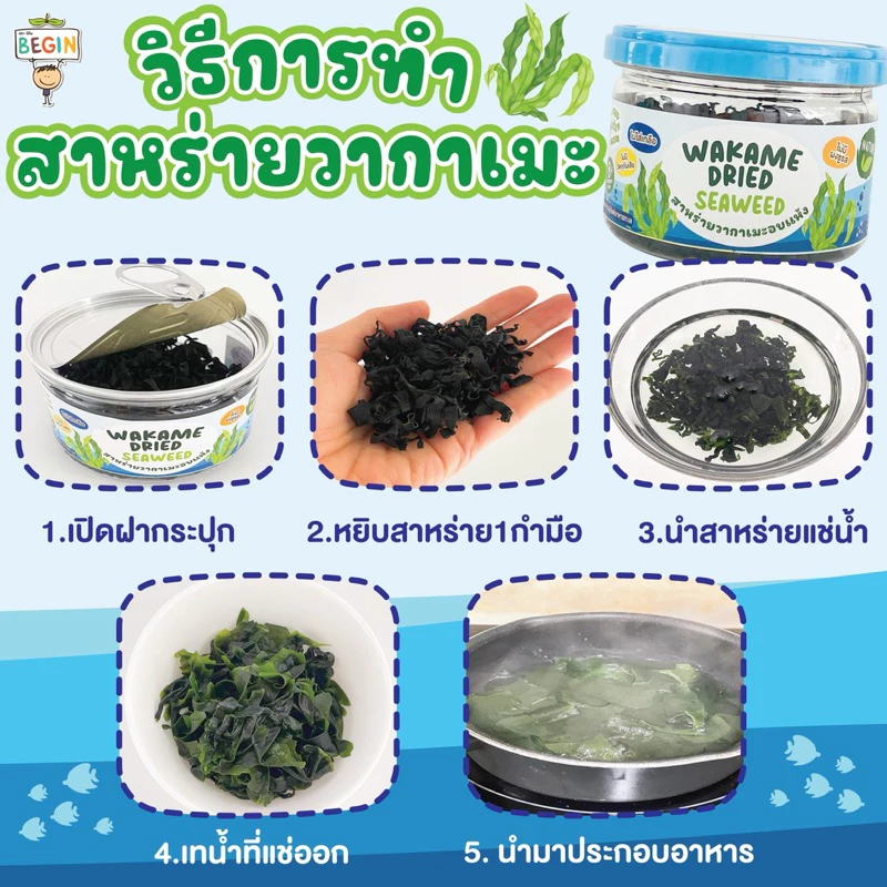 Begin สาหร่ายวากาเมะอบแห้ง สำหรับเด็ก thumbnail 4