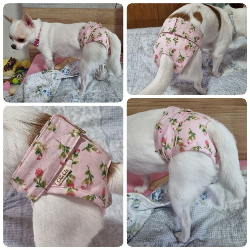 มาเพิ่มแล้ว กางเกงในสุนัขตัวจิ๋ว-ก้นไม่ห้อย รอบเอว 8-20 นิ้ว #Dog Diapers #DogPanties