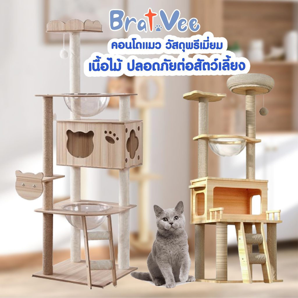 คอนโดแมว บ้านแมว คอนโดแมวไม้ พร้อมหลุมนอนใส มีบันไดและกล่องนอน เสาลับเล็บทั้งต้น