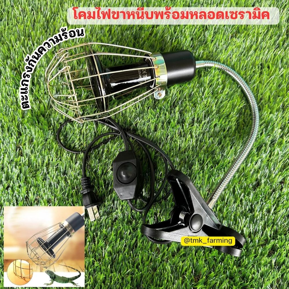 ขั้วหนีบหลอดไฟเซรามิก [พร้อมตะแกรงเล็ก] กันความร้อน กกไฟ ไฟกกเต่า ไฟกกลูกนก ไฟกกลูกไก่ ให้ความอบอุ่นเต่าบก