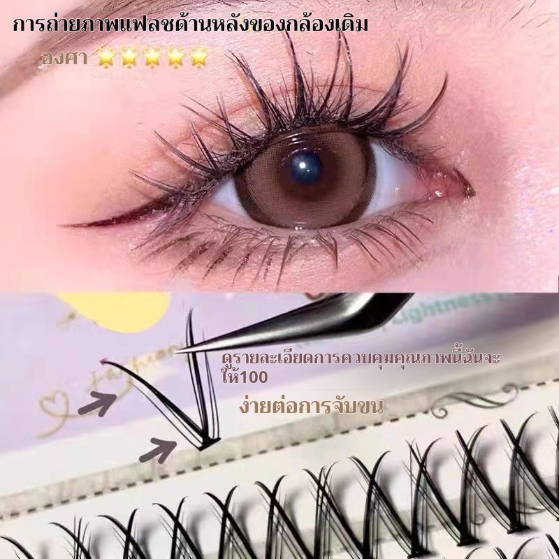 ขนตาทรงดอกแมกโนเยรูปตัว V ขนตาปลอมที่นิยมในหมู่เกิร์ลกรุ๊ปเกาหลี ติดแล้วมีมิติ น่ามอง 0.07 ขนาด 8-14mm แบบช่อ