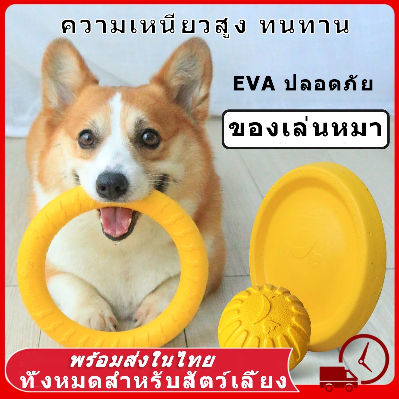 DOG RING ของเล่นหมา จานร่อนสำหรับสุนัข ห่วงยางกัดสุนัข ไซส์จัมโบ้ ช่วยขัดฟัน ของเล่นหมา แบบโต้ตอบ สําหรับฝึกสัตว์เลี้ยง