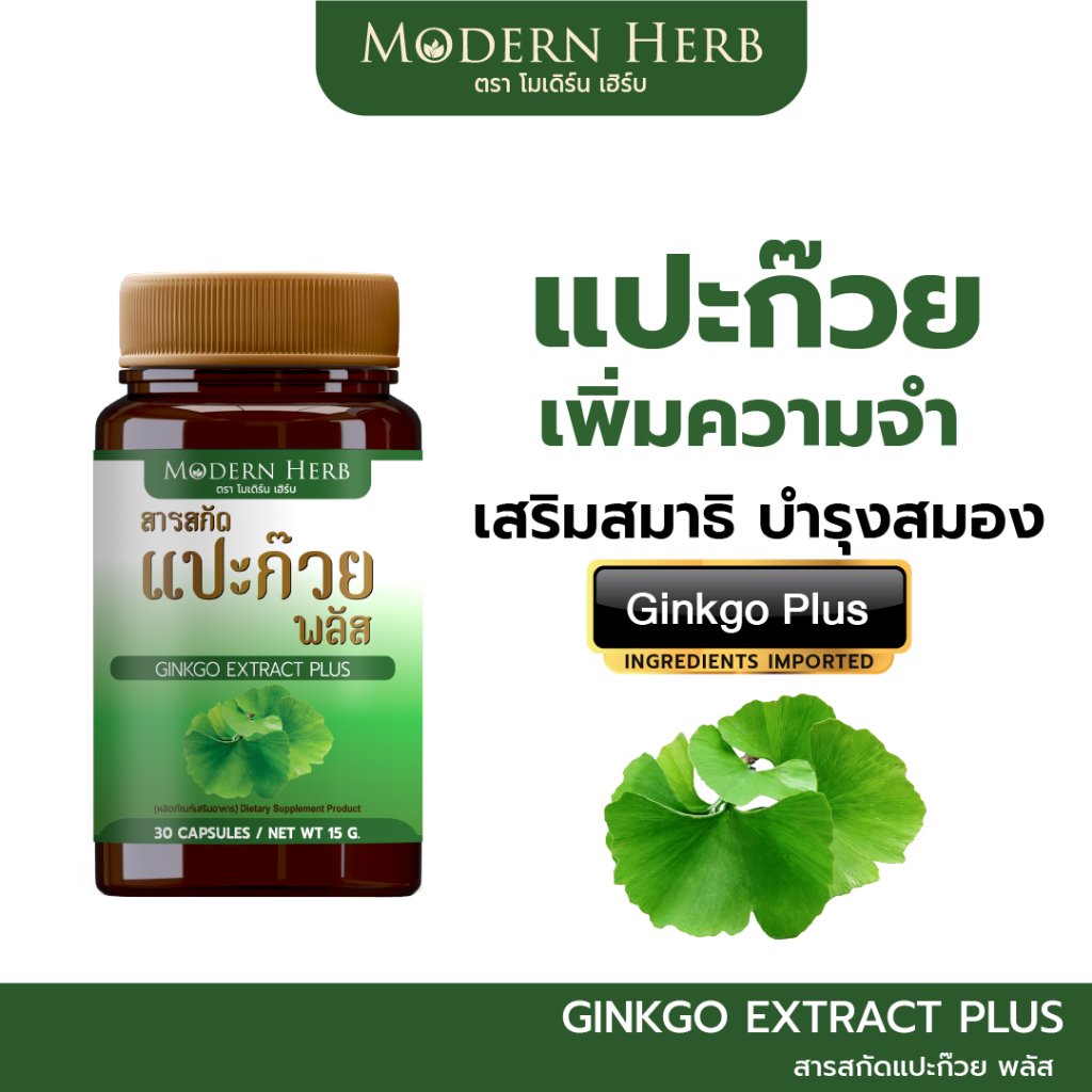 Modern Herb Ginkgo Extract Plus สารสกัดแปะก๊วย ช่วยเพิ่มความจำ เสริมสมาธิ บำรุงสมอง