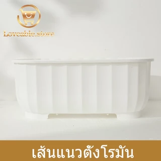 ที่คว่ำจานทรงโค้งมน (มีฝาปิด) กันฝุ่นละออง กันแมลง พลาสติก กล่องเก็บจาน ที่คว่ำจาน，ชั้นวางจาน，ที่คว่ําจาน，ที่เก็บจาน