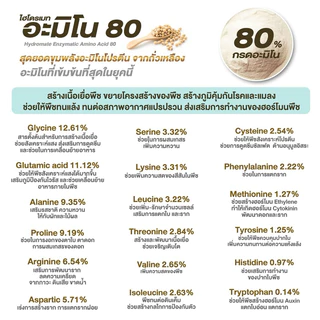 ไฮโดรเมท อะมิโน80 1 กิโลกรัม ดวงตะวันเพชร อะมิโนชนิดผงเข้มข้น 80% ช่วยส่งเสริมการเจริญเติบโต