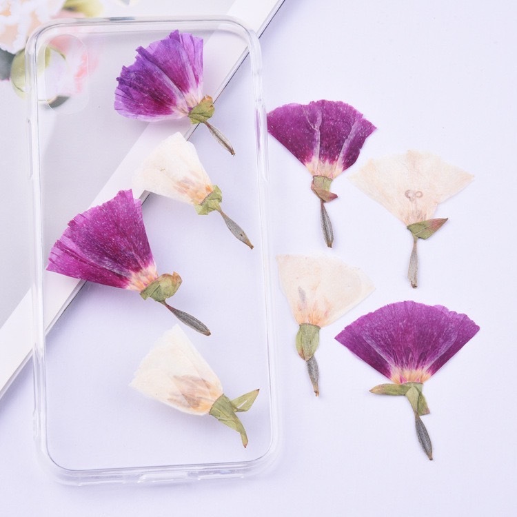 ดอกไม้จริงทับแห้ง ดอกขเนชั่น แต่งเคสโทรศัพท์เรซิ่น เครื่องประดับต่างๆ diy ขนาด 4-6 cm