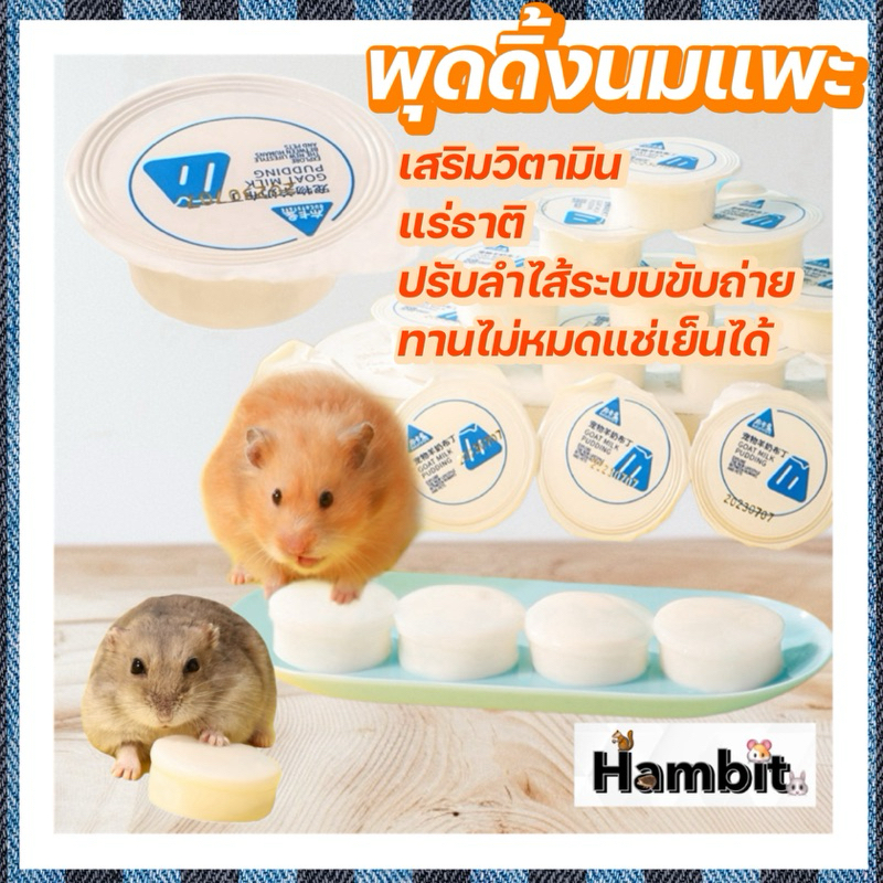 Hambit. พุดดิ้งนมแพะ สำหรับแฮมเตอร์ ชูการ์ เม่น กระรอก สัตว์ฟันแทะ ขนมแฮมเตอร์
