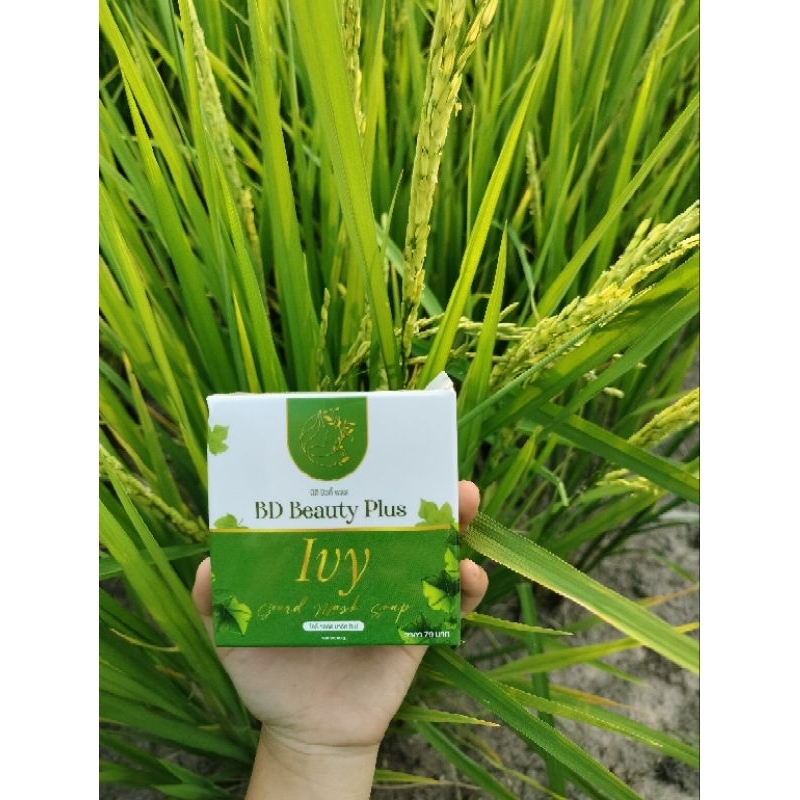 สบู่มาร์คตำลึงแบรนด์BD Beauty Plus