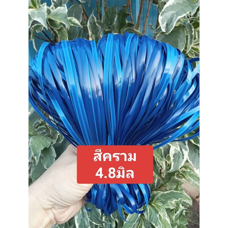 หวายสานตะกร้า สีขาว  4.8มิล ขนาด 500g (ครึ่งกิโลกรัม) เส้นยาว สีสันสวยงาม - รูปที่ 5