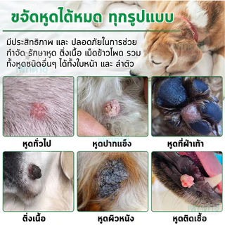 Oimmal ครีมทาก้อนเนื้อประหลาด น่ากลัว สีดำ สีชมพู สำหรับสุนัข ชอบขึ้นตามใบหน้าและลำตัว
