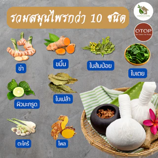 ลูกประคบสมุนไพร 100 กรัม【พร้อมส่ง 🍑 ส่งฟรี 】Thai Herbal Massage Ball ตำรับแพทย์แผนโบราณ