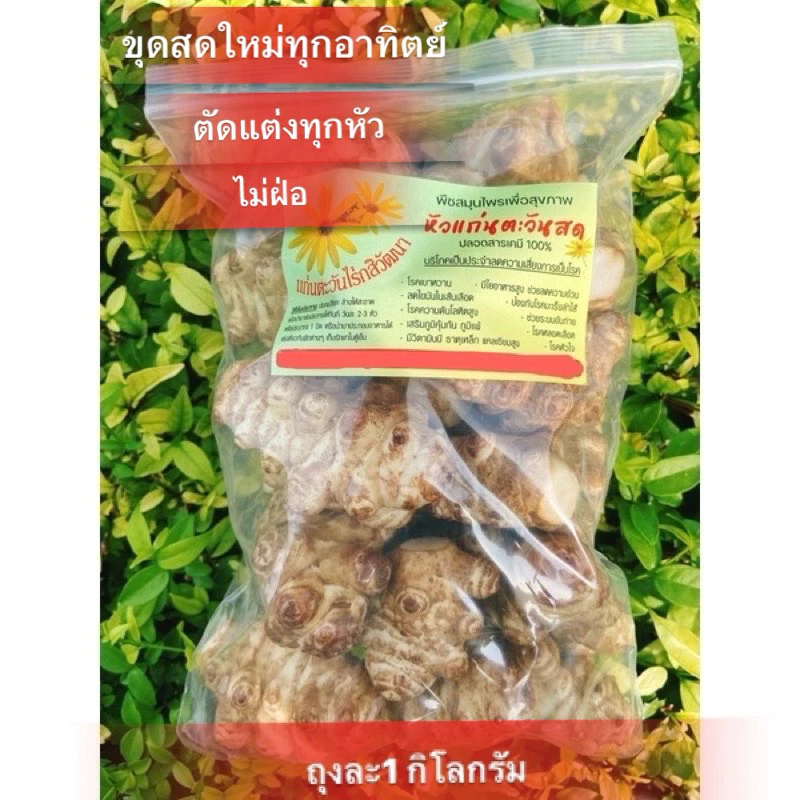 พร้อมส่ง!!แก่นตะวันสดปลอดสารเคมี100%