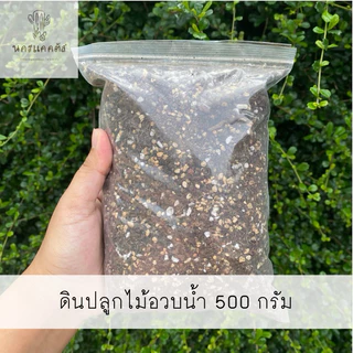 พร้อมส่ง❗ดินปลูกไลทอป lithop ไม้อวบน้ำ succulent แพ็ค 500 กรัม (ผสมเสร็จพร้อมใช้)