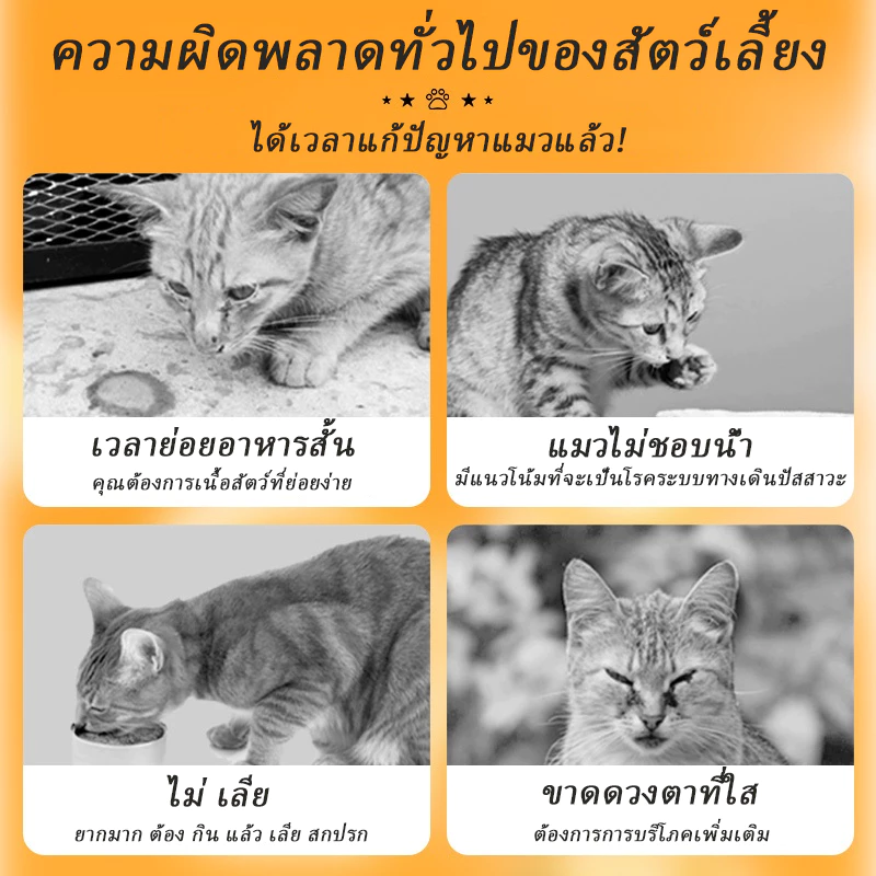TUBI อาหารเปียกแมว 85g กระป๋อง ซุป thumbnail 3