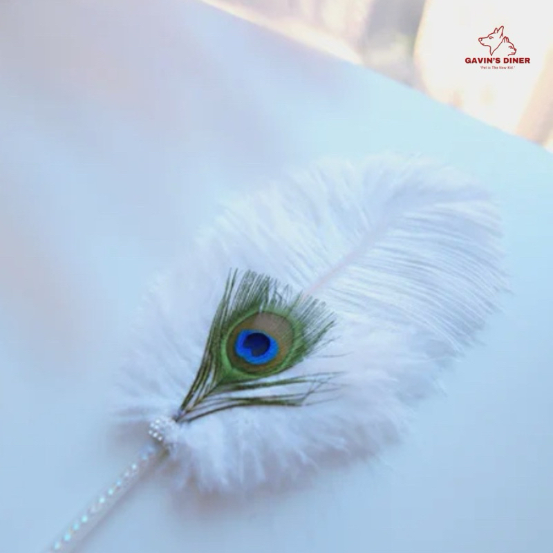 [✅พร้อมส่ง!] ไม้ตกแมวขนนกยูง สวยๆคลีนๆ ชีวิตติดแกลมต้องมี ไม้ตกลูกคุณ