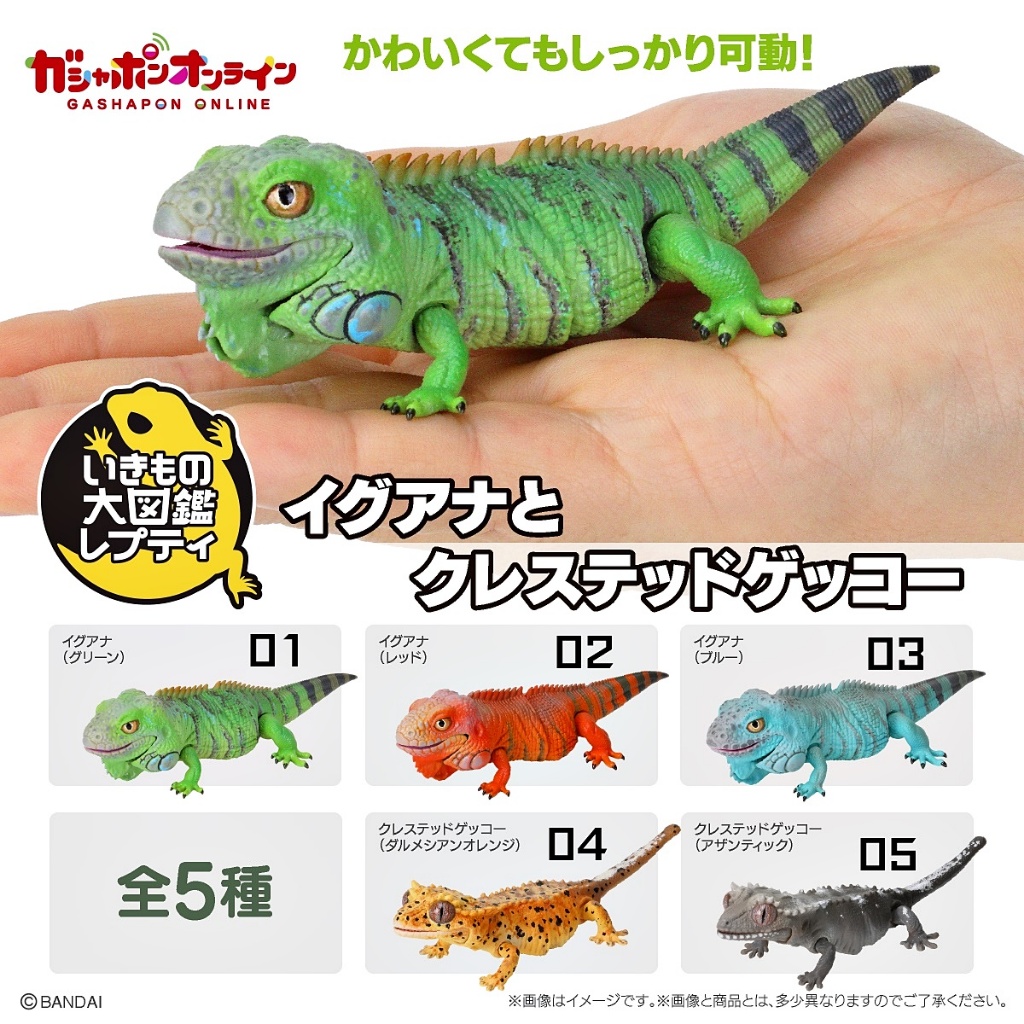(มีของพร้อมส่ง) กาชาปองอีกัวน่า-ตุ๊กแกตาหนามมินิ Gashapon Bandai Ikimono Encyclopedia Iguana Crested Gecko Mini