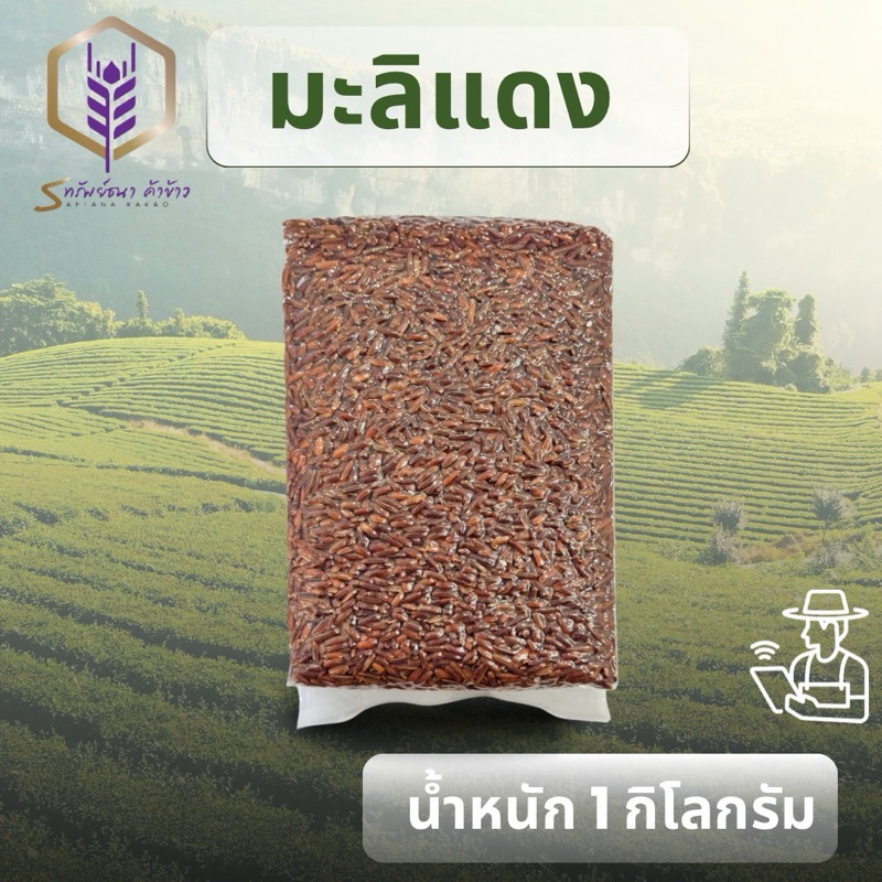 ข้าวกล้องมะลิแดงแพคสูญญากาศ1กิโลกรัม ตราทรัพย์ธนา