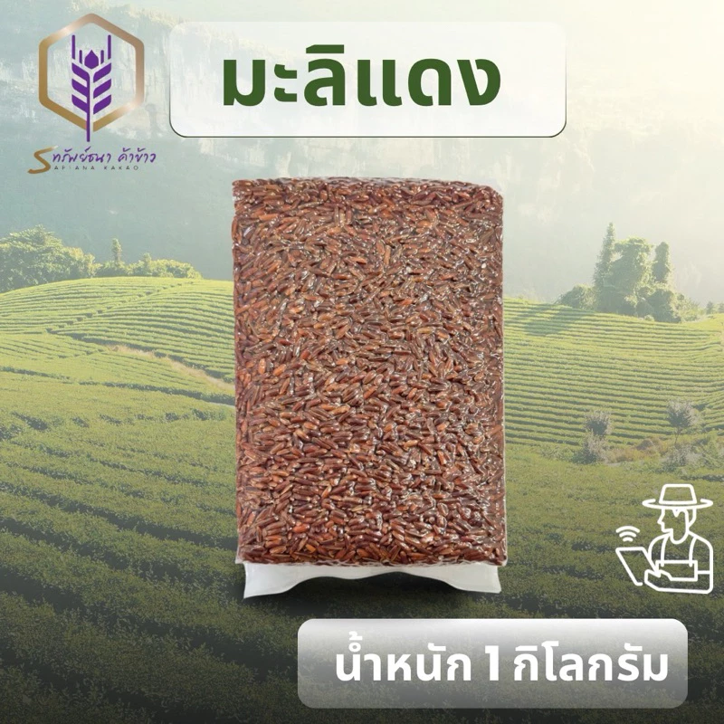 ข้าวกล้องมะลิแดงแพคสูญญากาศ1กิโลกรัม ตราทรัพย์ธนา