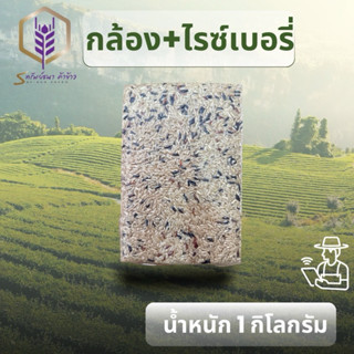 ข้าวกล้อง+ไรซ์เบอรี่แพคสูญญากาศ1กิโลกรัม ตราทรัยพ์ธนา