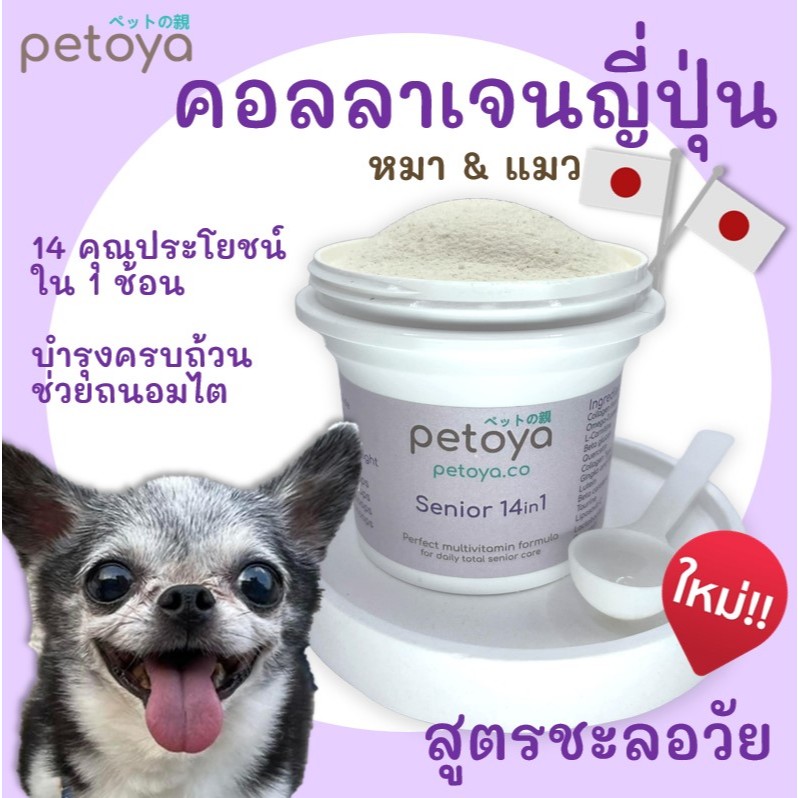 Petoya คอลลาเจนญี่ปุ่น สูตรชะลอวัย บำรุงครบถ้วน สำหรับสุนัขและแมวอายุ 5 ปีขึ้นไป