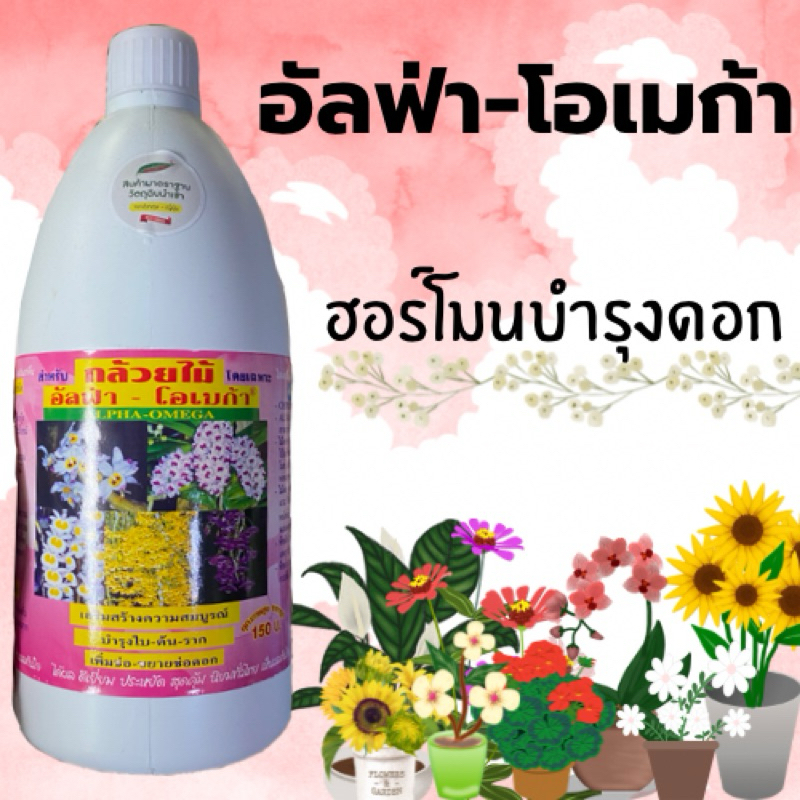 อัลฟ่าโอเมก้า ฮอร์โมนบำรุงดอก ขนาด 1 ลิตร