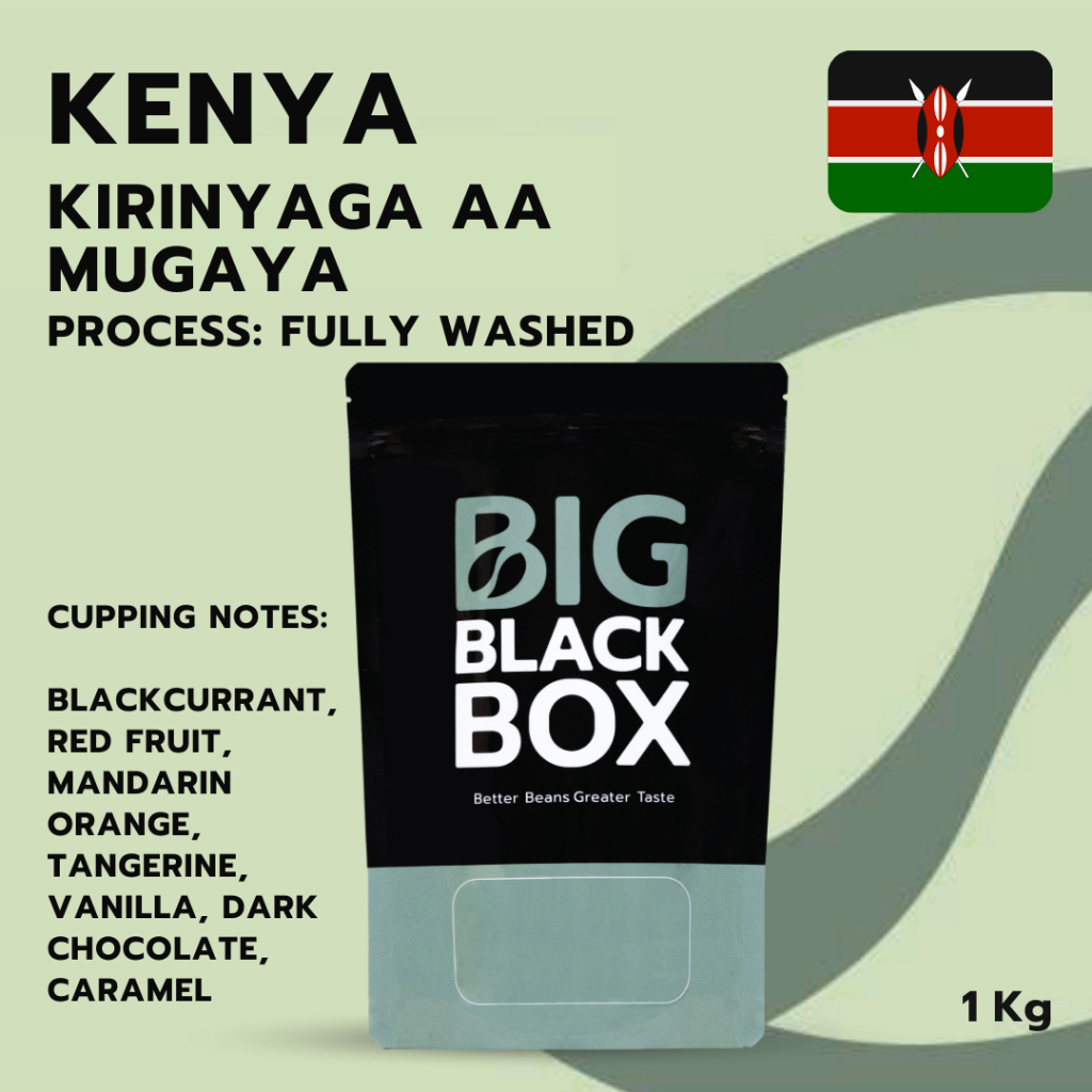 (S-KEN-045) สารกาแฟ Kenya Kirinyaga AA Mugaya  Fully Washed  1kg