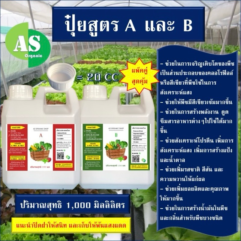 แพ๊คคู่สุดคุ้ม‼️ปุ๋ยสำหรับผักไฮโดรโปนิกส์ สูตรAB ชนิดพร้อมใช้  บรรจุ 1,000 มิลลิลิตร