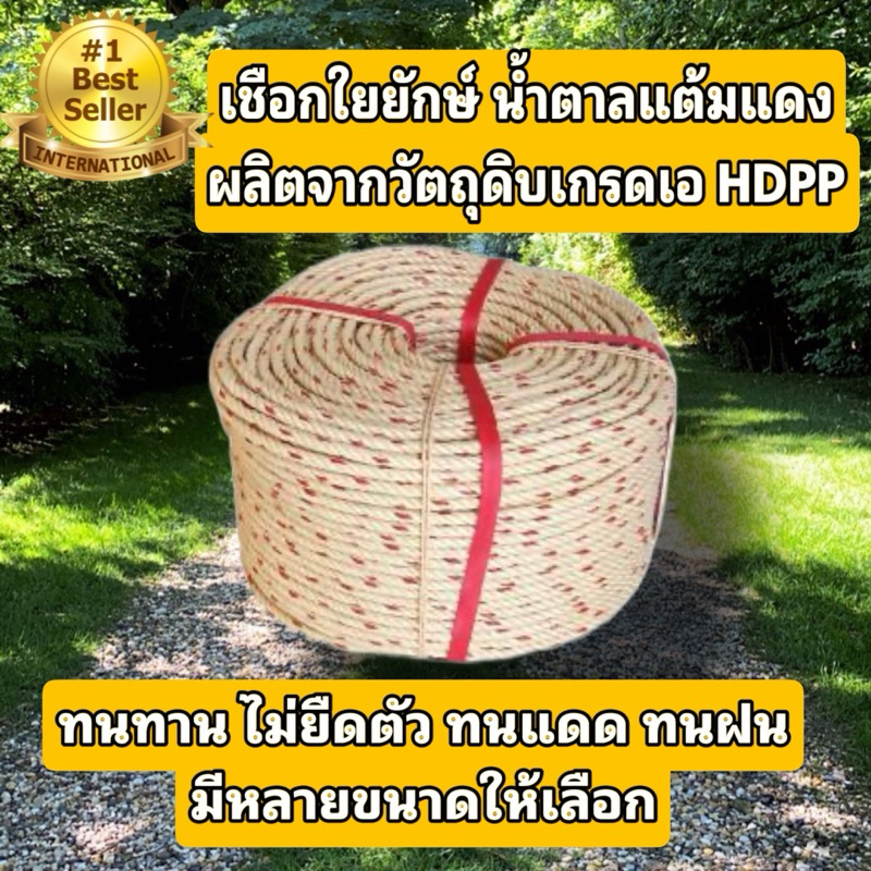 เชือกใยยักษ์ ขนาด 4,5,6,7,8,9,10,12 มิล ยาว 200 เมตร (ยกม้วน)