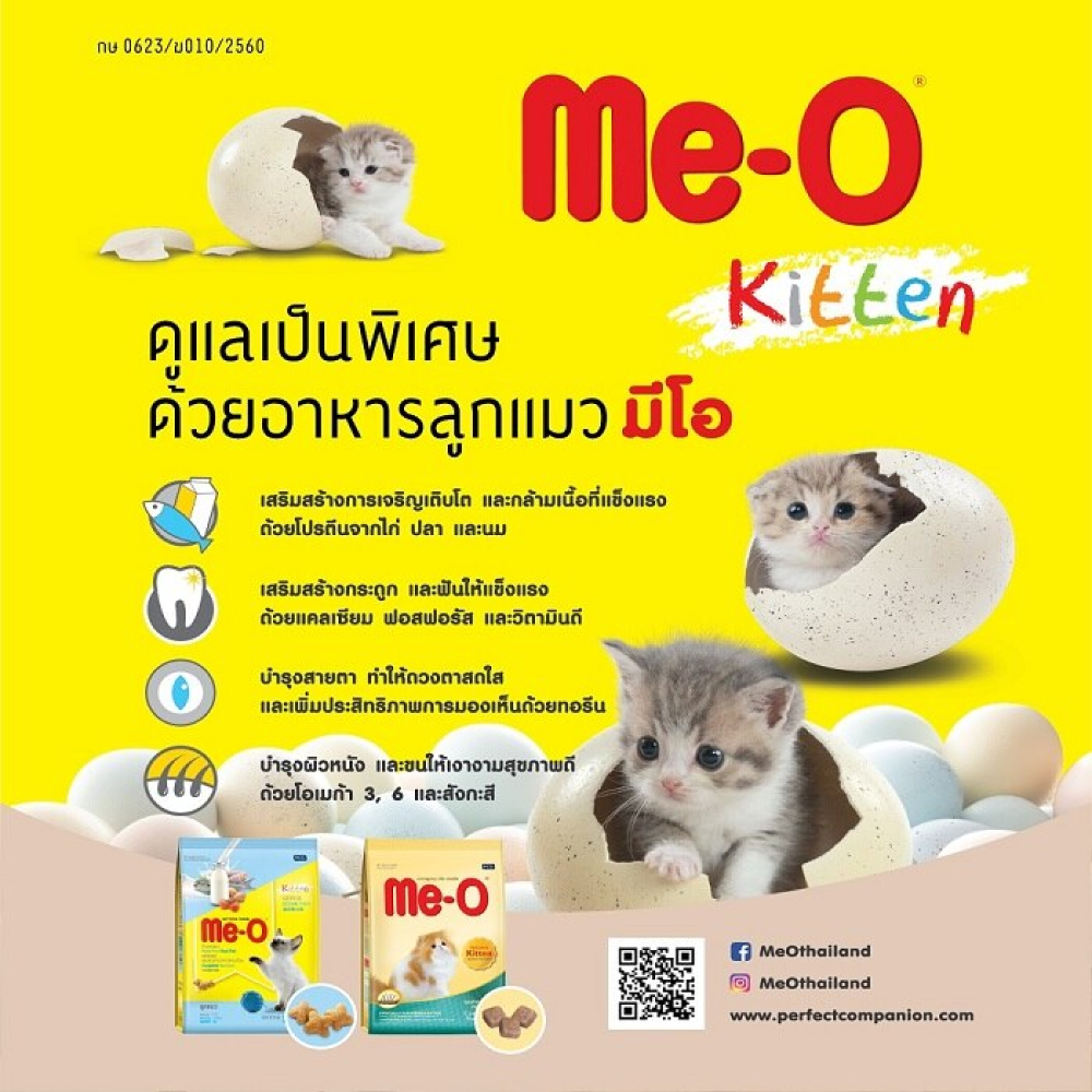 รูปภาพ 4