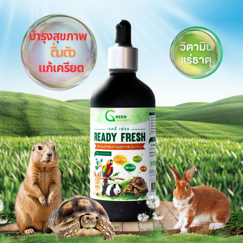 กรีนบาลานซ์เรดดี้เฟรช  Ready Fresh วิตามินสำหรับสัตว์เลี้ยงลดความเครียดช่วยฟื้นตัวหลังป่วย100 มิลล