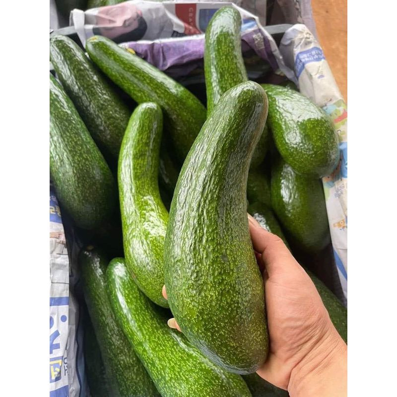 อาโวคาโด 034 เวียดนามแท้!! พร้อมส่งราคาถูกที่สุด🥑￼