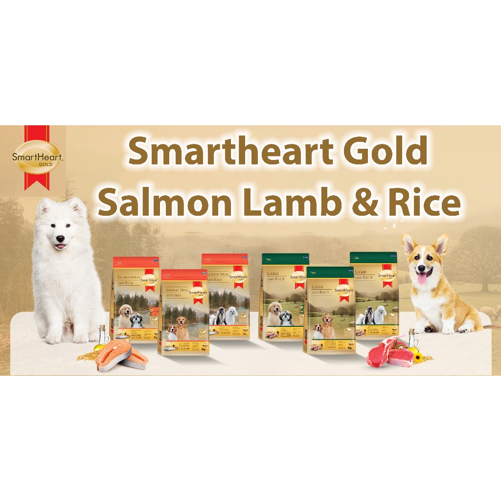 SmartHeart Gold สูตร แซลมอนและแกะ สำหรับสุนัขโตพันธุ์เล็ก Smartheart Gold Salmon Meal & Rice All Breeds Puppy อาหารสำหร