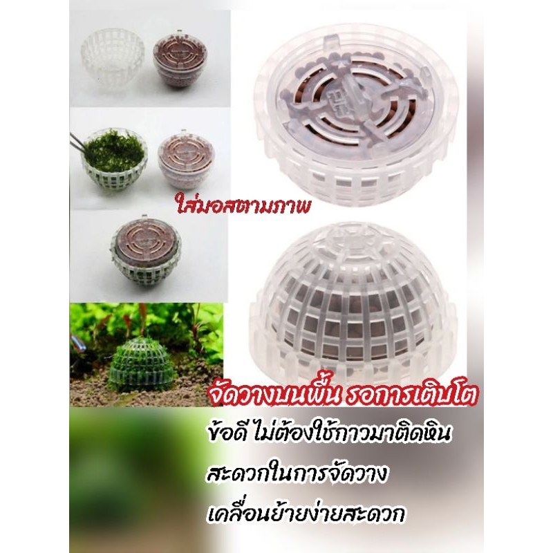 ลูกบอลเซรามิก ใช้ปลูกมอสและต้นไม้