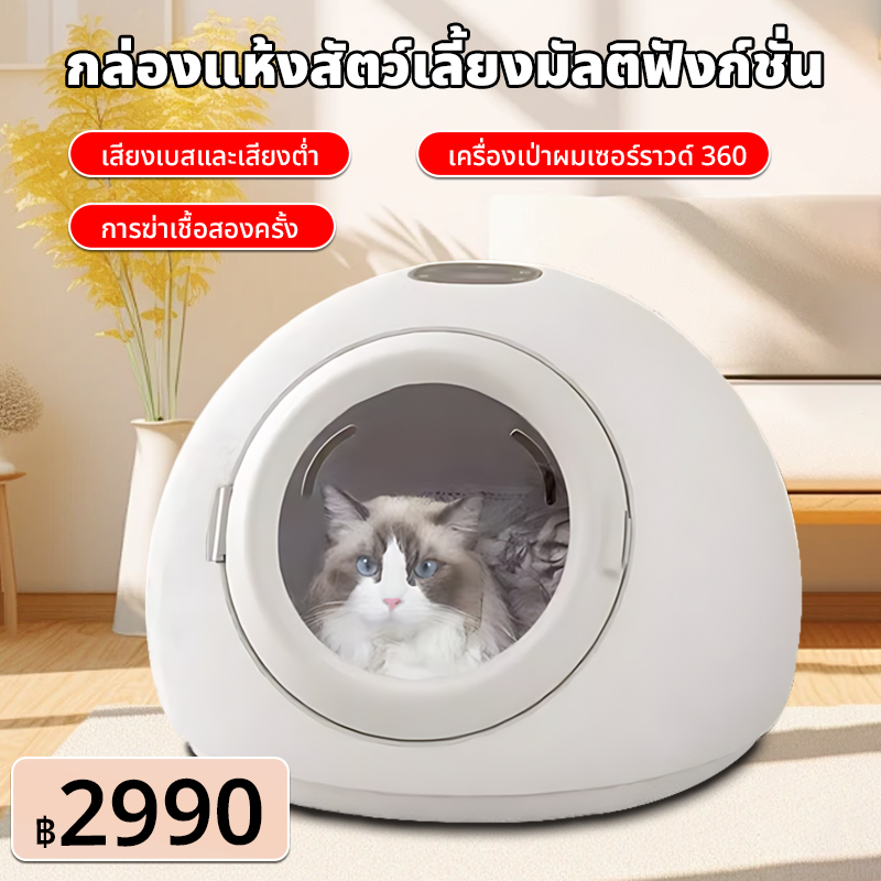 เครื่องเป่าขนแมวอัตโนมัติ สำหรับสัตว์เลี้ยง กำลัง800W เครื่องทำงานเสียงเบาเครื่องเป่าลมไดร์เปาขนแมว เครื่องเป่าขนสัตว์เล