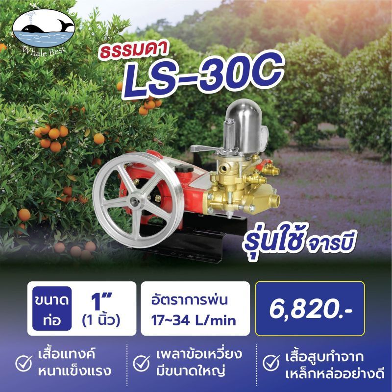 WHALE BEST LS-30C ปั๊มพ่นยาสามสูบ ขนาด 1" ระบบธรรมดา (เฉพาะตัว)