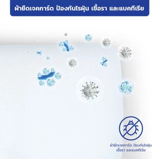 PATEX หมอนเพื่อสุขภาพแก้ปวดคอ หมอนยางพาราแท้ 100% ลดกรน หมอนรองกระดูกทับเส้นประสาท รุ่น ORIGINAL PATEX PILLOW PS
