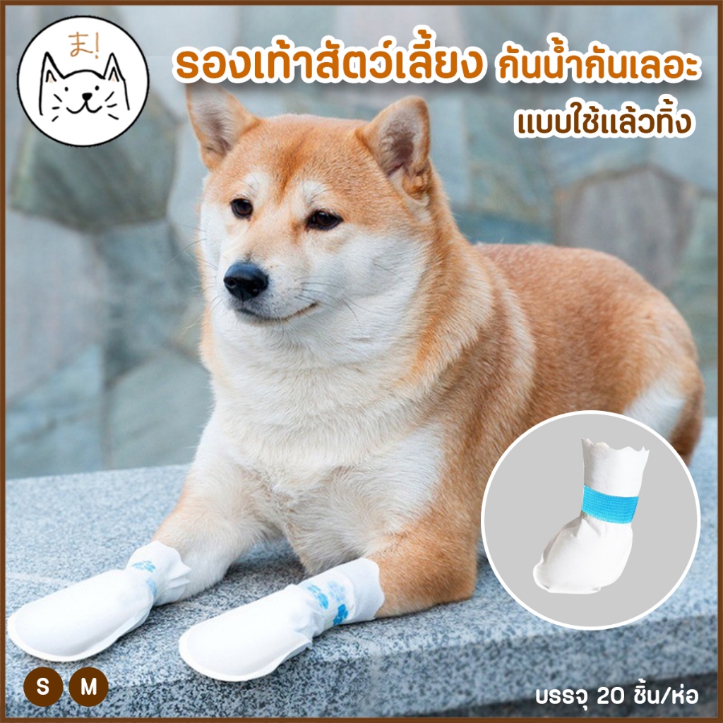 KUMAま รองเท้าสัตว์เลี้ยง กันน้ำ กันเลอะ แบบใช้แล้วทิ้ง ถุงเท้าสัตว์เลี้ยง ปลอกเท้า รองเท้าสุนัข ถุงเท้าหมา แมว