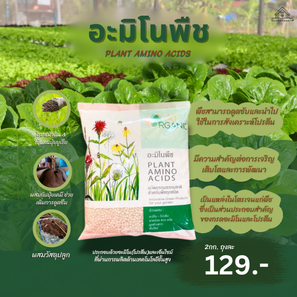 PLANT AMINO ACIDS อะมิโนพืช ขนาด 2 กิโลกรัม โตไว เป็นแหล่งไนโตรเจนแก่พืช ซึ่งเป็นส่วนประกอบสำคัญของกรดอะมิโนและโปรตีน