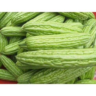 🌱เมล็ดพันธุ์มะระจีน 4 เมล็ด (5แถม1คละได้)