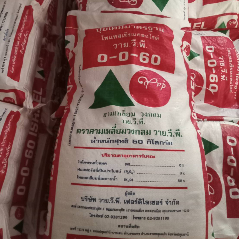 ปุ๋ย วาย.วี.พี YVP สูตร 0-0-60 ผงขาวจากอิสราเอล เร่งและขยายผลผลิตพืชทุกชนิด กระสอบ 50 Kg.